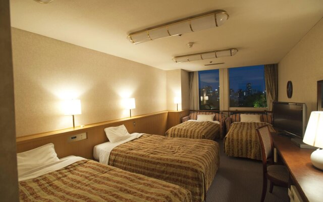 Hotel Osaka Castle
