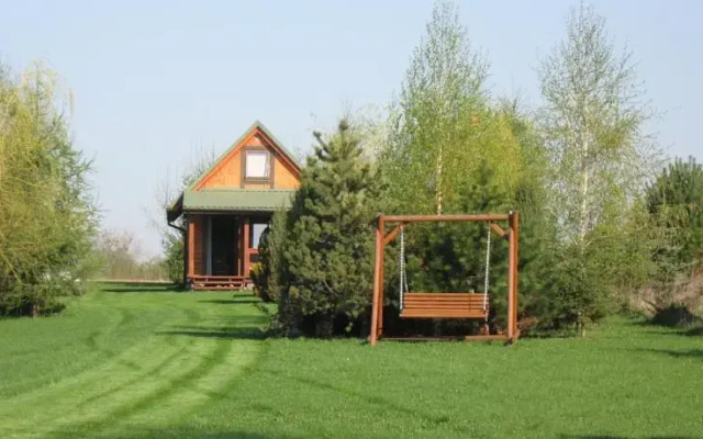 Przepiórka - Lisewo