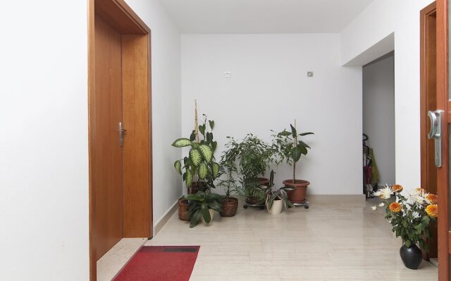 Apartments Levan Ceja