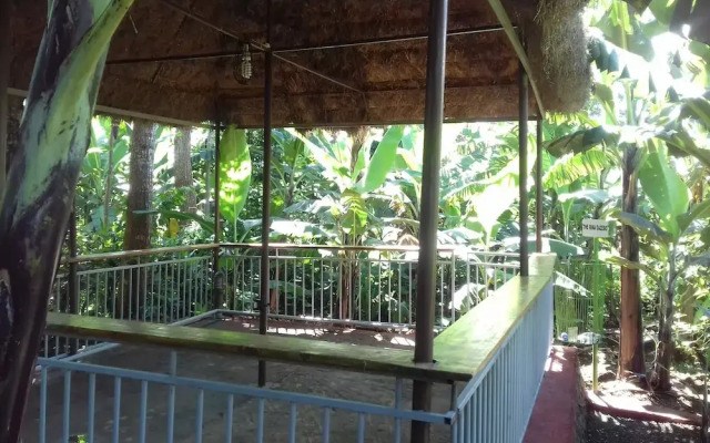 Doctor Se Temu Rest House