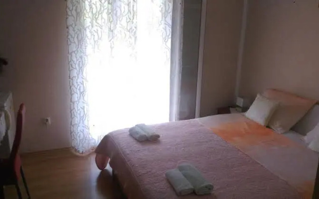 Room Dragica