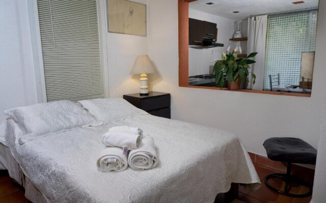 Suite 4A, Terraza, Garden House, Welcome to San Angel