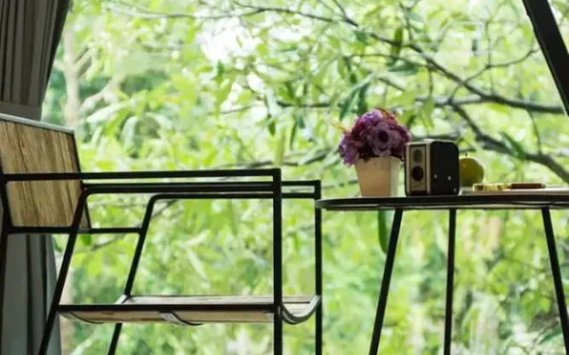 The Forest Home Resort