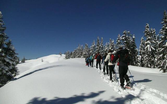 Wander-Vitalhotel Steirerhof