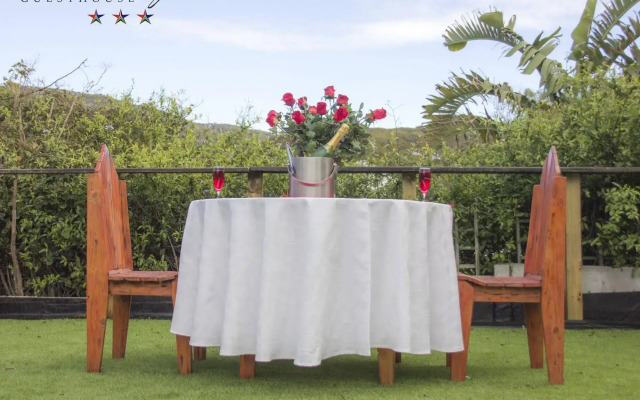 15 On Penguin Guest House