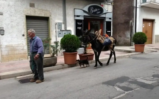 Il Pieddo