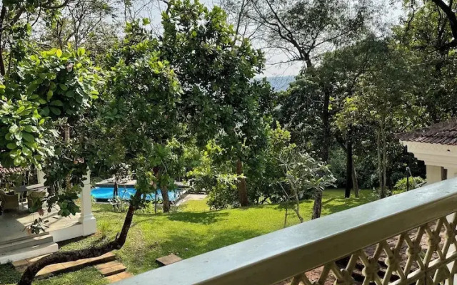 The Postcard Velha