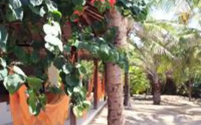 Santa María Atins