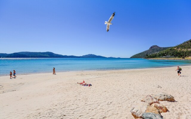 Shorelines 2 on Hamilton Island