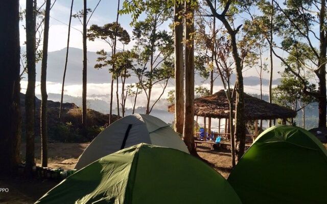 Munnar Jungle Camp