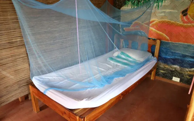 Swinging Carabao Hostel