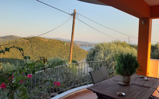 Olive Tree Apartment