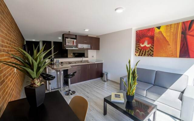 Icon 48 Superior Lux 205