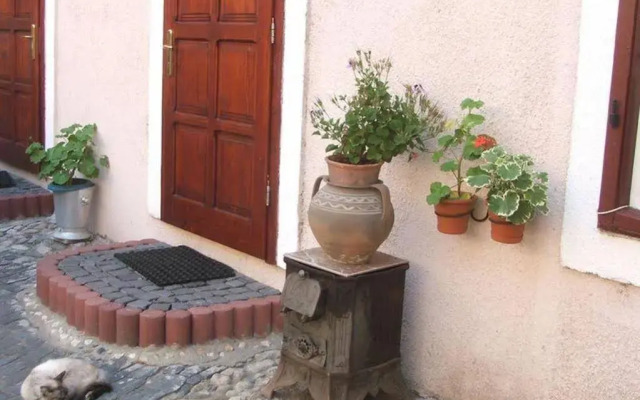 Guesthouse Casa Baciu