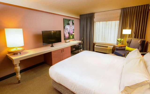 Hilton Garden Inn Rochester Downtown, MN