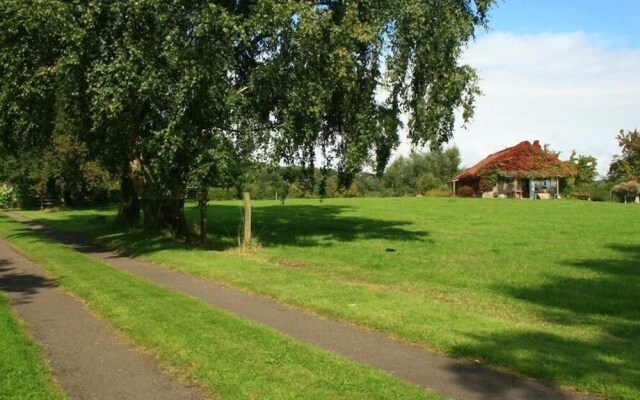 The Piggery