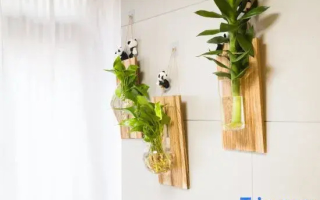 Qingyaju Homestay
