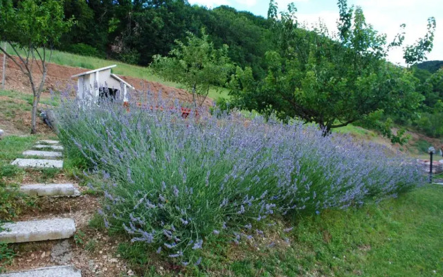 La Cerasa Bed & Breakfast