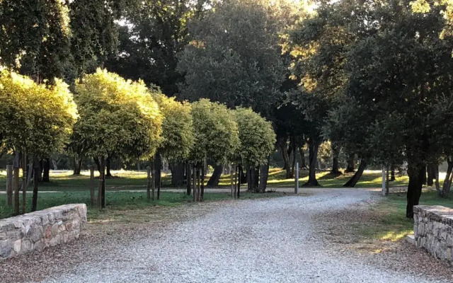 Domaine de Bracciole