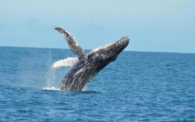 Apt 42 Riverview Holiday Apartments