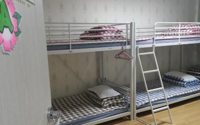 Panda Guesthouse - Hostel