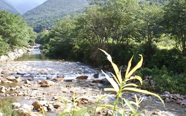 Yangpyeong Breeze Pension