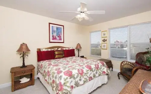 Shellchase by RedAwning