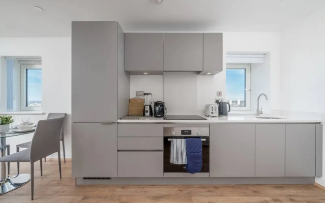 Skyvillion 2 Bed Apt London Excel O2 Arena