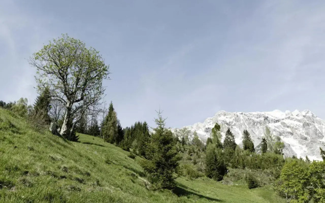 Das Hochkönig