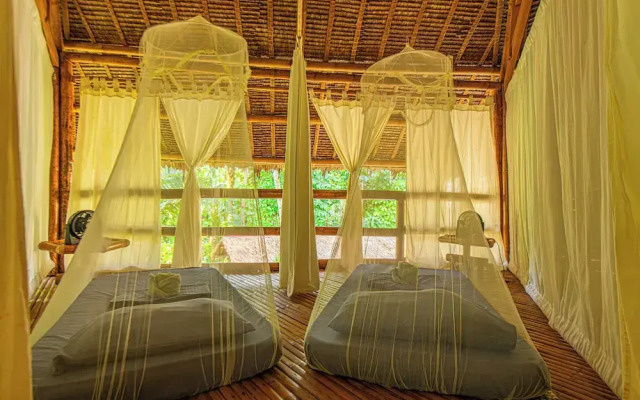 Water To Forest Ecolodge