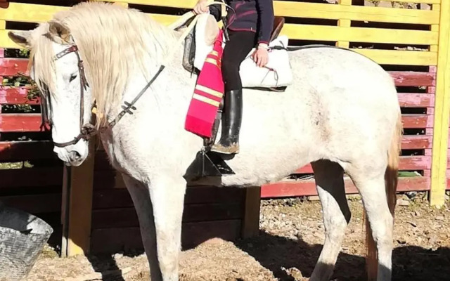 La Hacienda Del Campo