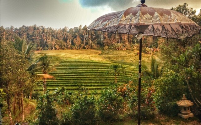 Bali Lush