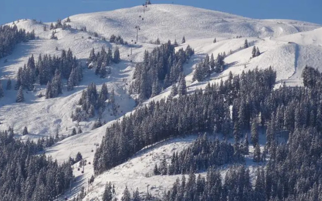 Panoramagasthof Hohe Brücke