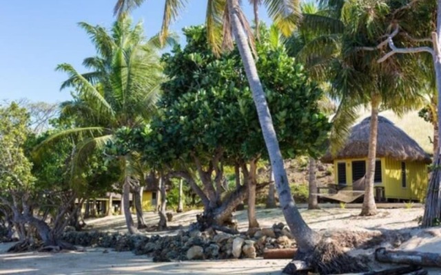 Funky Fish Beach & Surf Resort - Hostel