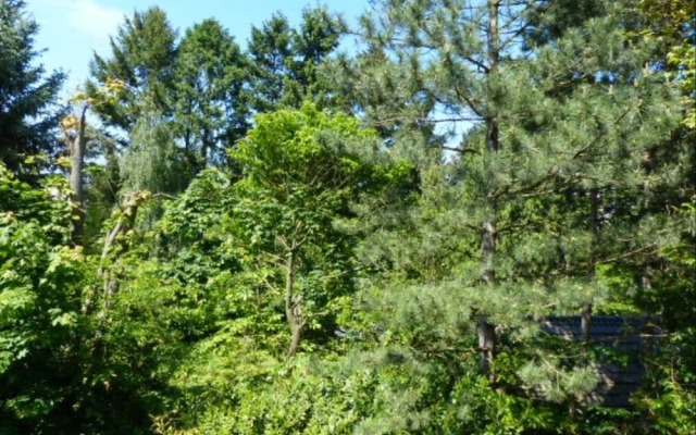 Studio 2 - Location de Vacances Obernai