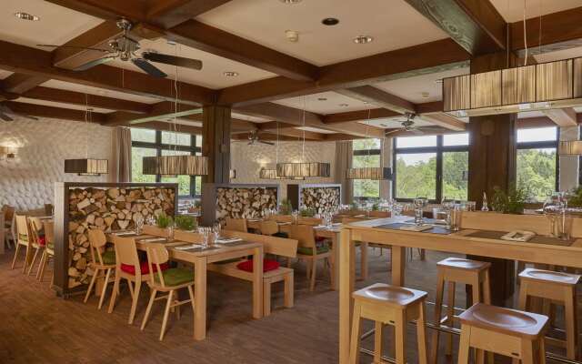 H+ Hotel Willingen