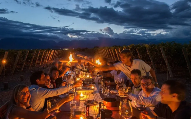 The Vines Resort & Spa