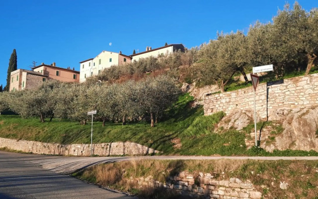 La Casa Tra Gli Ulivi