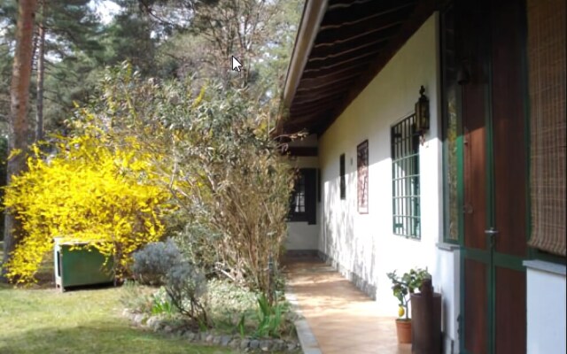 B&B Il Giardino delle Cince