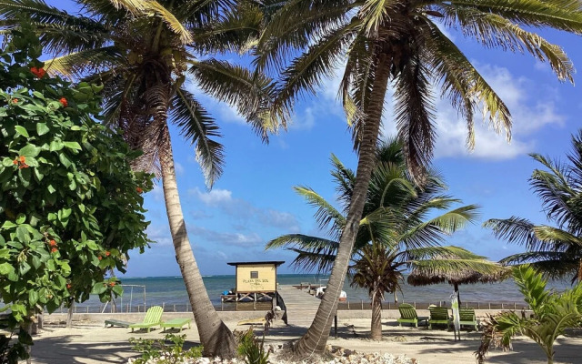 Playa Del Sol