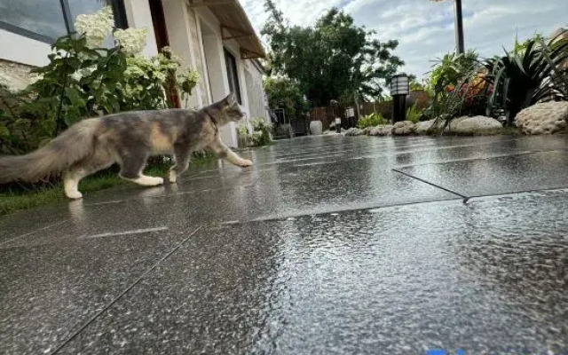 Weizhou Island Township Accommodation