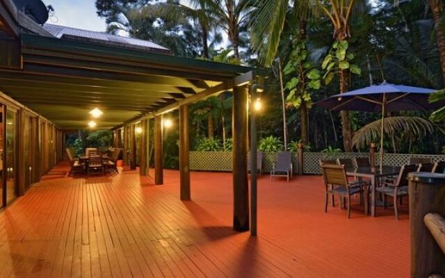 Wait A While Daintree