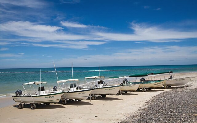 Bungalows Cabo Pulmo