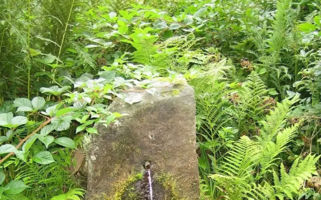 2 Fuchskreuzhof
