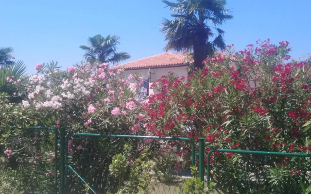 Apartments Elda