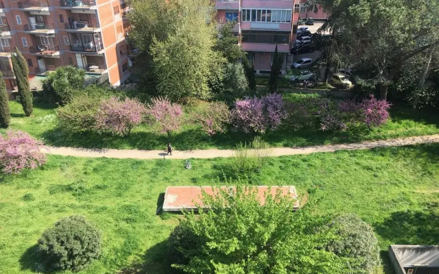 Attico Pisino