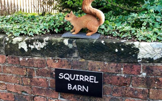 Squirrel Barn