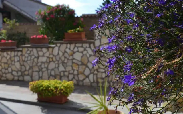 Bed and Breakfast Vecchia Flaminia