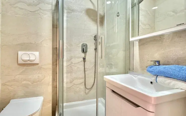 Central apartments Surina