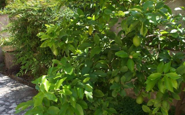 Al verde limone